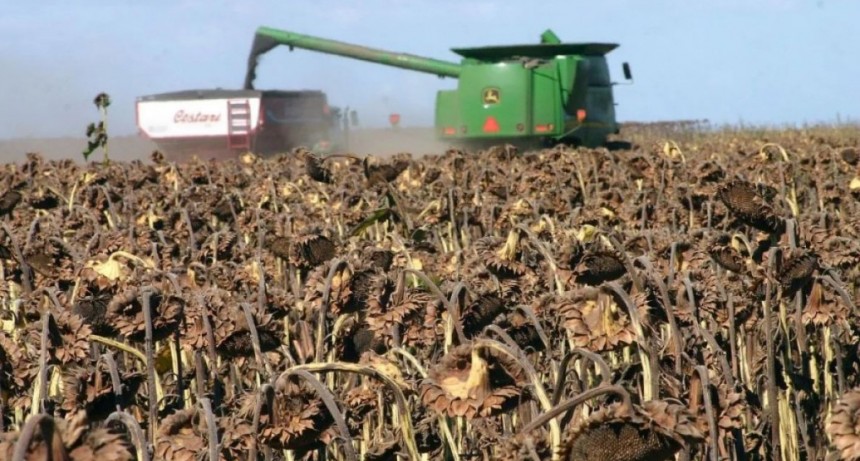 PRODUCTORES CHAQUEÑOS COMIENZAN A RECIBIR LA AUTORIZACIÓN SISTÉMICA DE CARTAS DE PORTE