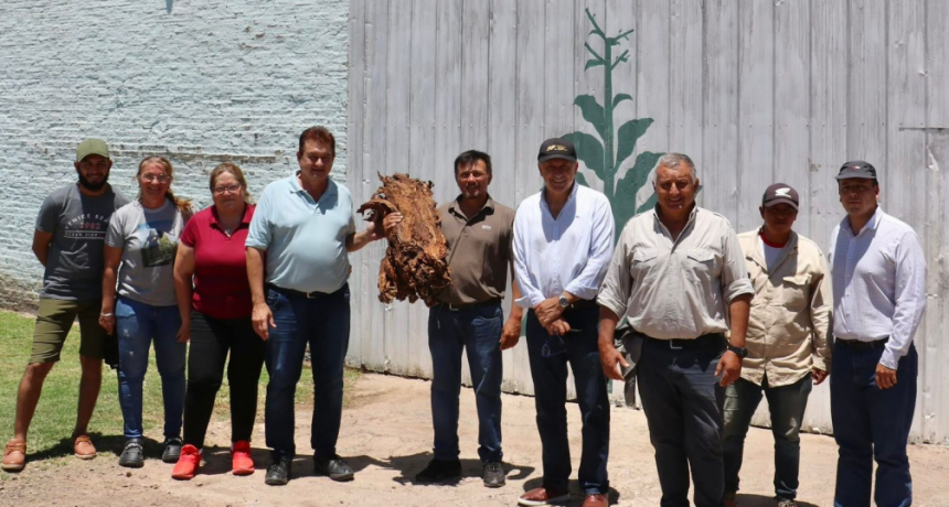 DUDIK DESTACÓ EL BUEN PRESENTE DE LA PRODUCCIÓN TABACALERA EN EL ZAPALLAR NORTE Y LOS PARAGUAYOS